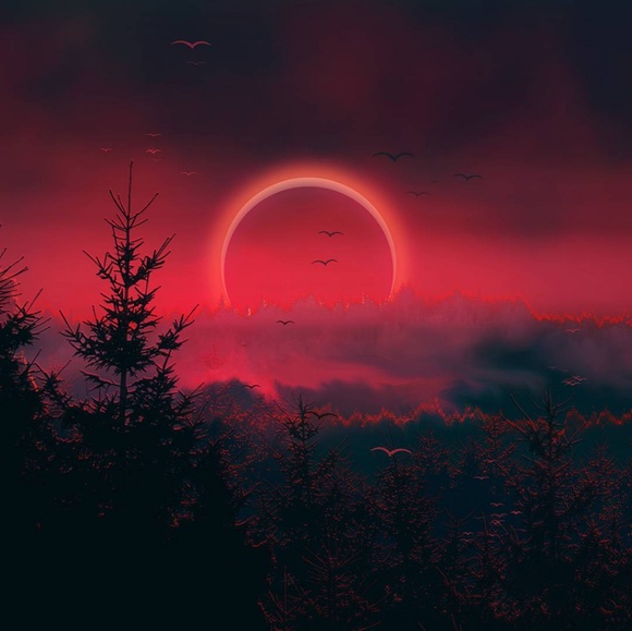 Meet your Posher, Tessua - Picture 1 of 1